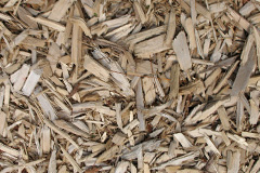 biomass boilers Whitelye